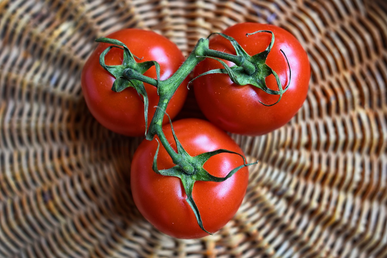 pourquoi les tomates ont des taches noires